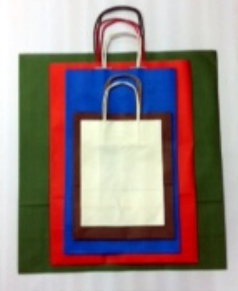 BOLSA ASA RETORCIDA TUR VERDE