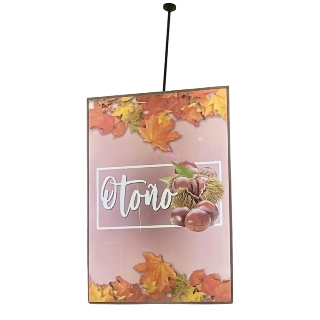 Portacartel sobre led a techo A1