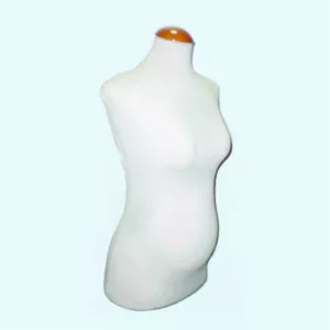 Busto clásico señora embarazada