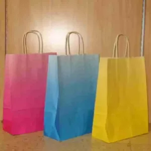 BOLSA DE PAPEL ASA RETORCIDA