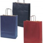 BOLSA PAPEL ASA RETORCIDA LISO 18+8X25