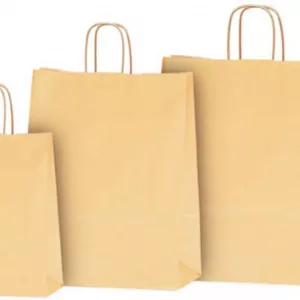 BOLSA DE PAPEL ASA RETORCIDA FONDO TOTAL 36+12X31