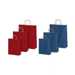 Bolsa de papel asa retorcida liso 44+14x42.5