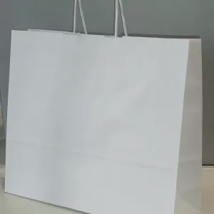 Bolsa asa retorcida apaisada celulosa 32+09x26.5-100gr. (En caja de 300uds)