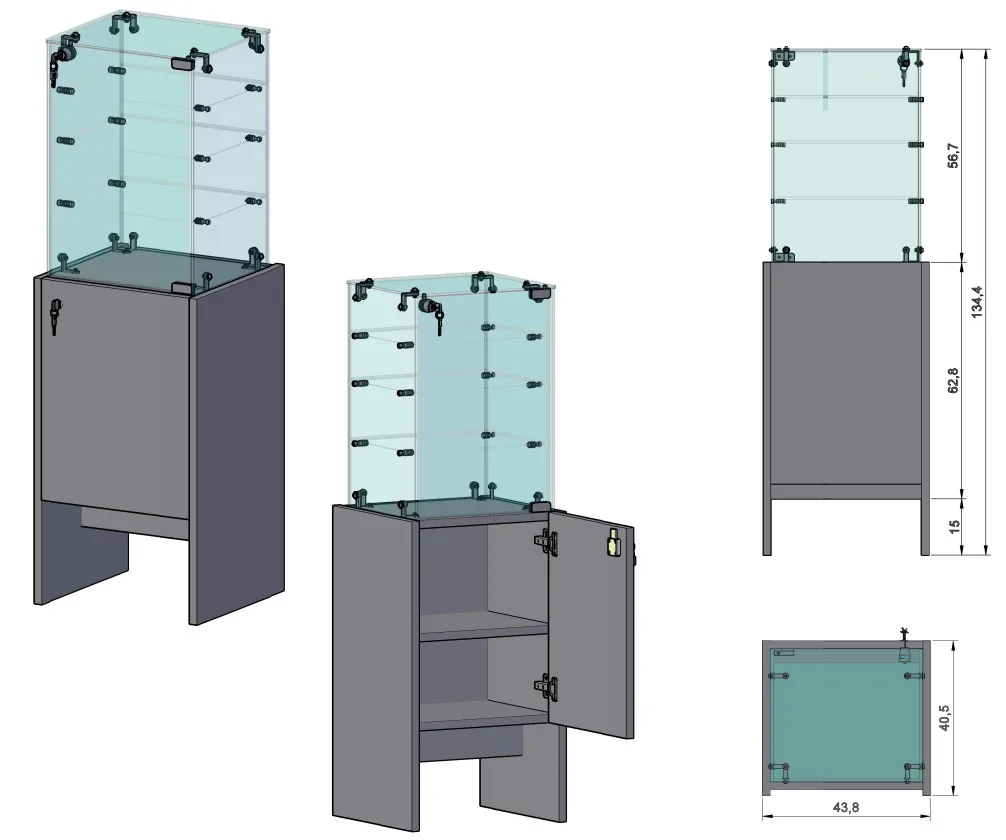 12909_vitrina_cristal_presupuesto 195933-GAL (1)