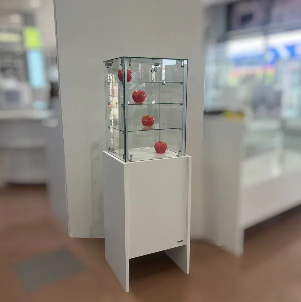 12909_vitrina_cristal_presupuesto 195933-GAL (2)